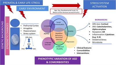 Stress System Activation in Children and Adolescents With Autism Spectrum Disorder